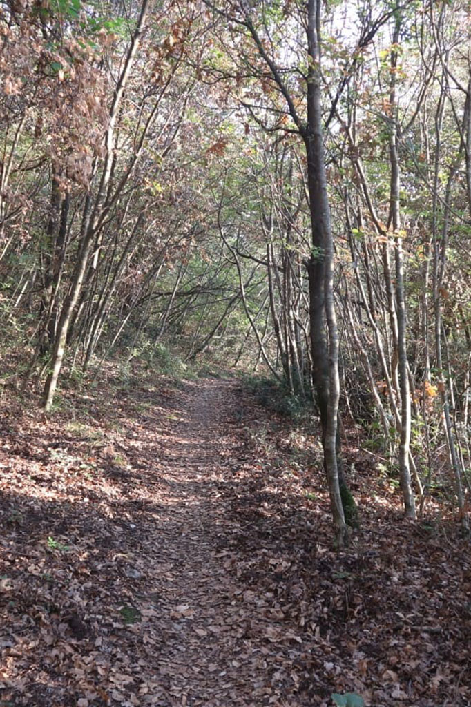 camminateconsapevoli